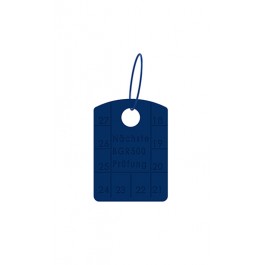 Grade 100 Annual Control Tag for Chain Slings