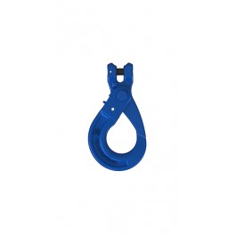 DIN EN 1677-3 Grade 10 Clevis Selflock Hook